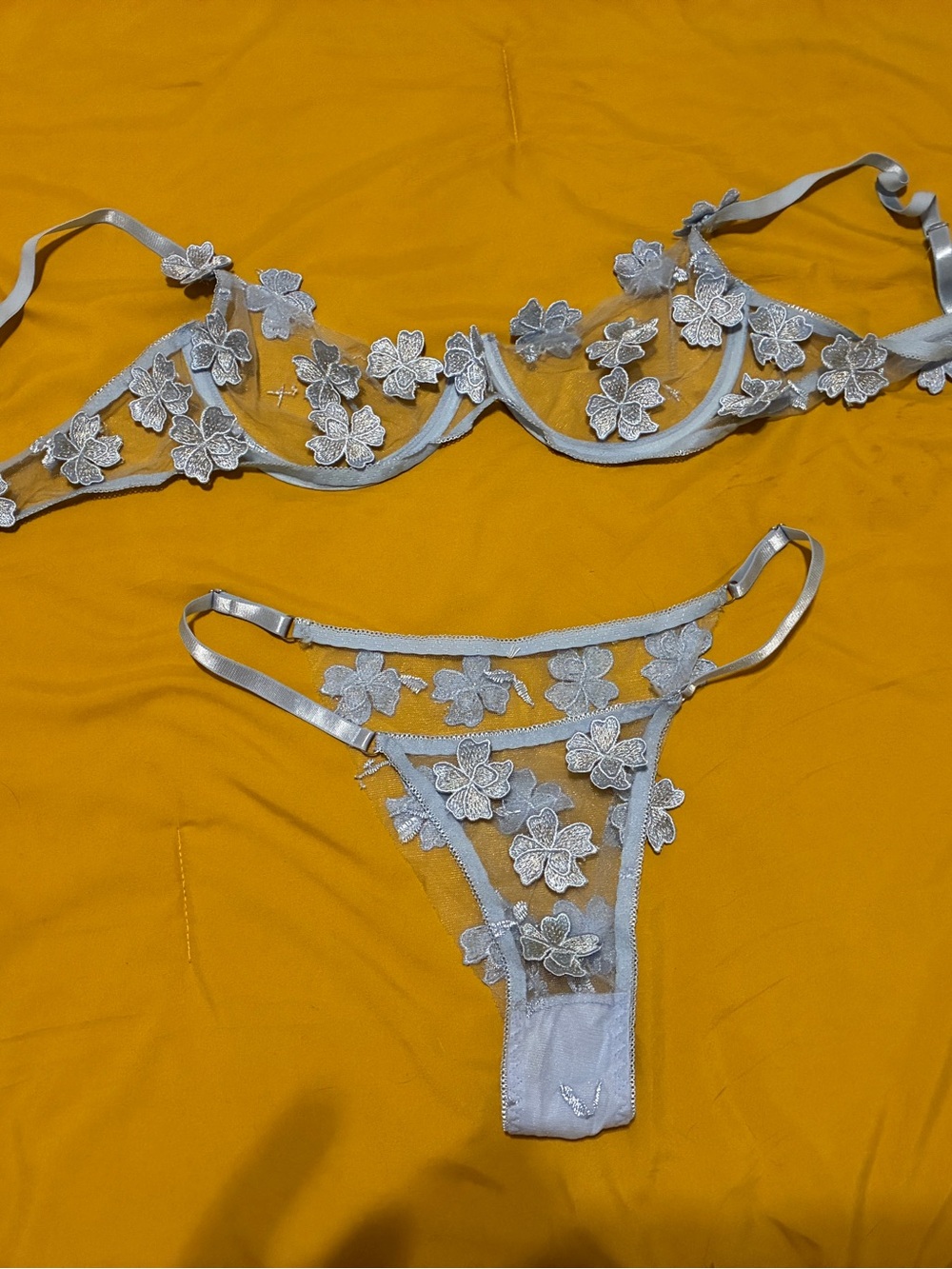 Delicate Floral Embroidered Sheer Lace Bra & Thong Set - Light Blue